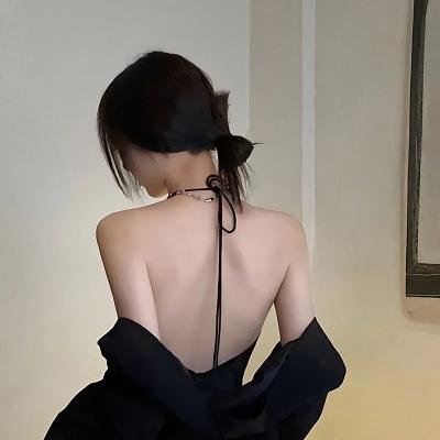 翱翔于天际的夜鹰
